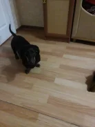 �����.