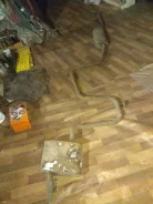 ��������� ����� Ford Mondeo 1 1069823 ����