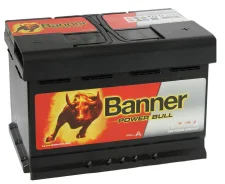 Banner. 60��.�., ��������, ������������ ������. ��� ����� �� ������ ����