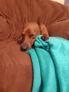 �����������. ����