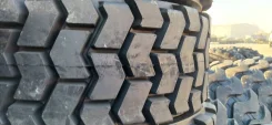 Neumaster. �����������, 2019 ���, �����. ��� ����� �� ������������ ����