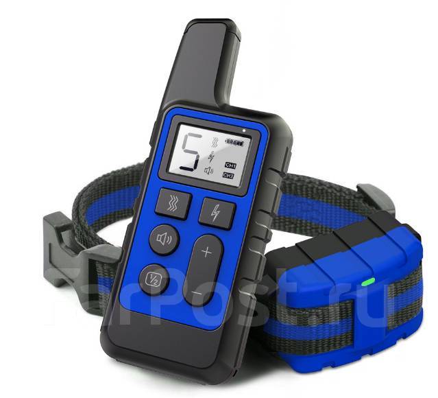 Электроошейник водонепронецаемый для собак Dogtrainingcolar, под заказ ...