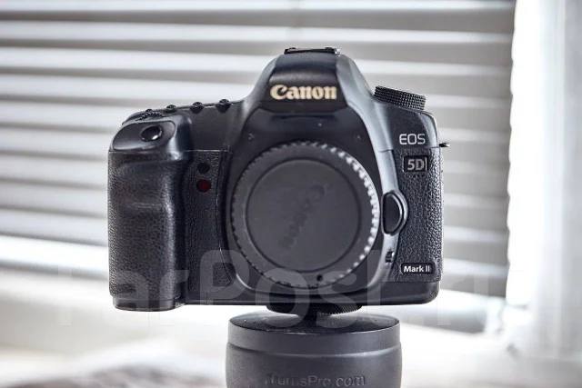 Canon EOS 5D Mark II. 20 � ����� ��, ���: ��� ���� ����