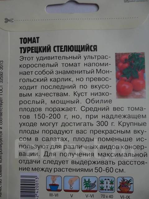 томат консерватто f1. стелющийся сорт помидоры монгольский карлик. томаты садовая жемчужина гавриш. турецкие помидоры. турецкие сорта томатов характеристики.