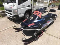 Yamaha Enticer II. ��������, ��� ���, ��� �������. ��� ����� �� ������������ ����