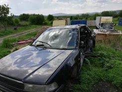 Honda Ascot ����