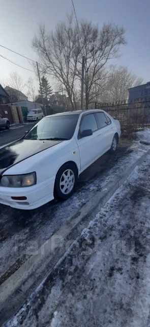 Nissan Bluebird. �������, ��������, 2.0 (145��.�.), ������ ����