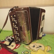 �����. ����