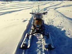 Irbis Dingo T150. ��������, ��� ���, � �������� ����