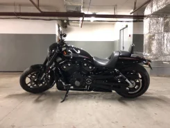 Harley-Davidson Night Rod Special VRSCDX. 1 250����. ��., ��������, ���, � �������� ����