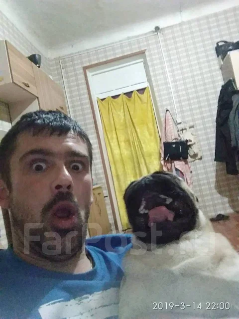 ����. ����