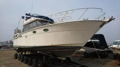 Yamaha SC-38. 1994 ���, ����� 12��., ��������� ������������, 600��.�., ������. ��� ����� �� ������������ ����