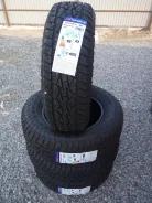WinRun Maxclaw A/T. ����� at, 2021 ���, ����� ����