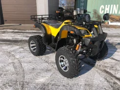 ���������� Tiger Sport 250 � �������, 2020. ��������, ��� ���\���, ��� �������. ��� ����� �� ���������� ����