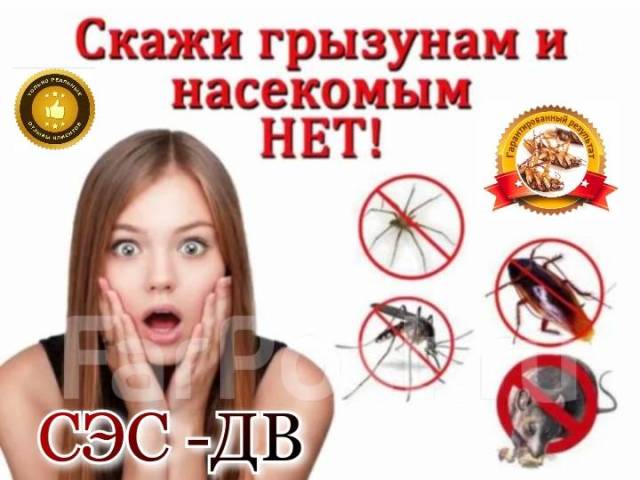 крысиный клещ на собаке | Дзен