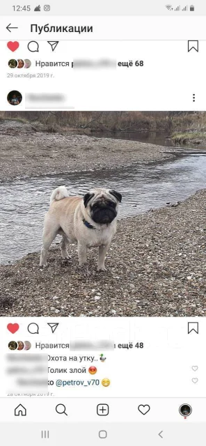 ����. ����