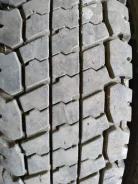 TyRex. �����������, 2018 ���, �/�, ����� 30 % ����