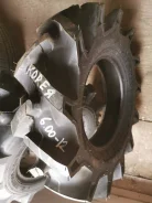 Tiron. �����������, 2019 ���, ����� ����