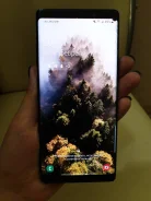 Samsung Galaxy Note 8. �/�, ������, 4G LTE ����
