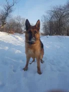 �������� �������. ����