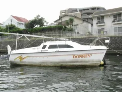 Hunterboat. 1994 ���, ����� 6��., ��������� ���������, 8��.�., ������. ��� ����� �� ������������ ����
