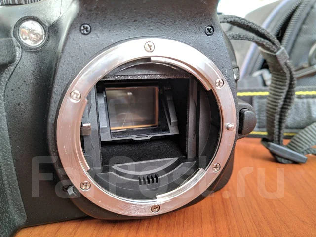 Nikon D5200. 20 � ����� �� ����