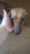�����. ����