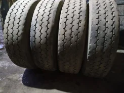TyRex. �����������, 2018 ���, �/�, ����� 40�%