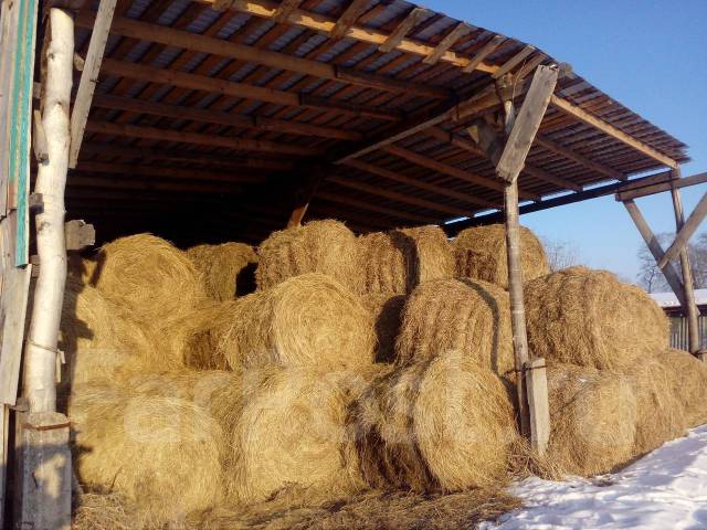 Сено в рулонах 300 кг, сеяные травы. Цена: 1 500₽ в Спасском районе