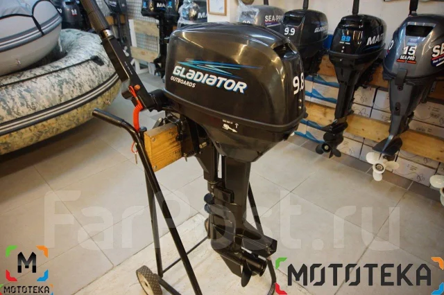 Gladiator. 9,8��.�., 2-�������, ����������, ���� S (381 ��), 2026 ��� ����