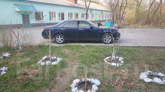 Nissan Cedric. �������, ������, 2.5 (215��.�.), ������, 210 000����. �� ����