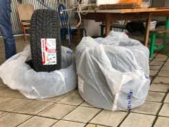 Tigar Winter. ������, ��� �����, 2019 ���, �����