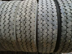 TyRex. �����������, 2018 ���, �/�, ����� 10�%