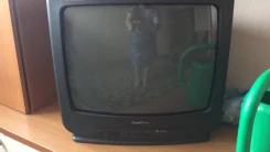 ����� ����