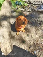 �����. ����