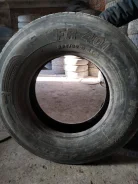 TyRex. �����������, 2018 ���, �/�, ����� 40�%