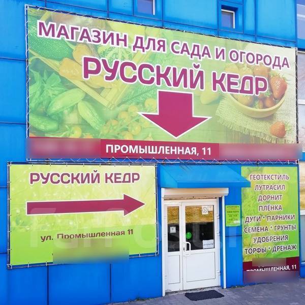 Как сделать искусственный пруд для рыб на даче