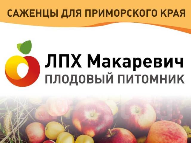 Питомник ЛПХ Макаревич. Принимаем заявки на …