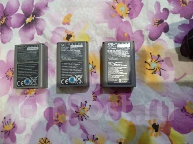 Olympus E-M1. 15 - 19.9 ��, ���: ��� ���� ����