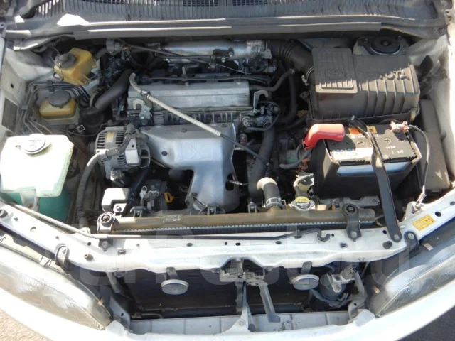 Toyota Ipsum. SXM107033607, 3SFE ����