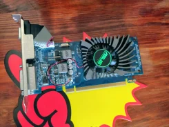 GeForce GT 610 ����