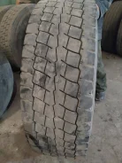 TyRex. �����������, 2018 ���, �/�, ����� 40�%