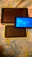 Acer