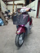 Honda Dio Fit. 49����. ��., ��������, ���, ��� ������� ����