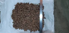 ���� �������������. ����
