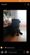 ����. ����