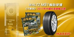 Maxxis Waltz MS1. ������, 2019 ���, ����� ����
