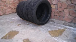 Yokohama Guardex. ������, ����������, 2012 ���, �/�, ����� 5 % ����