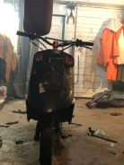 Yamaha Champ. 49����. ��., ��������, ���������, ������ �� �� ����