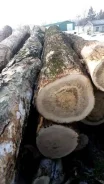 ����� ����� ������ ��������� ����� ����